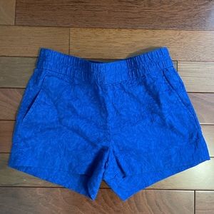 J Crew Blue Shorts